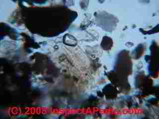 Paint lab Photograph of sample of failed paint